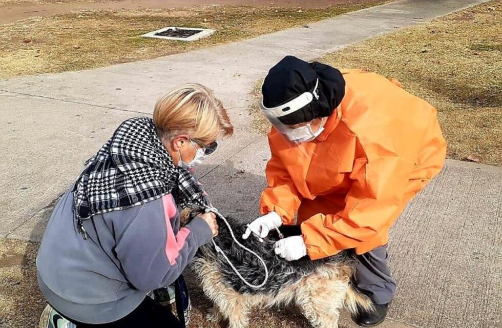 Carlos Paz: la "Vacunación Antirrábica" se extiende hasta mediados de agosto