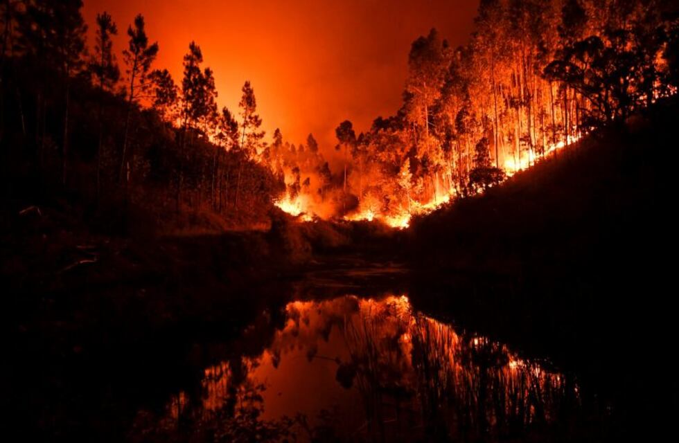 Mueren 62 personas en incendios forestales en Portugal