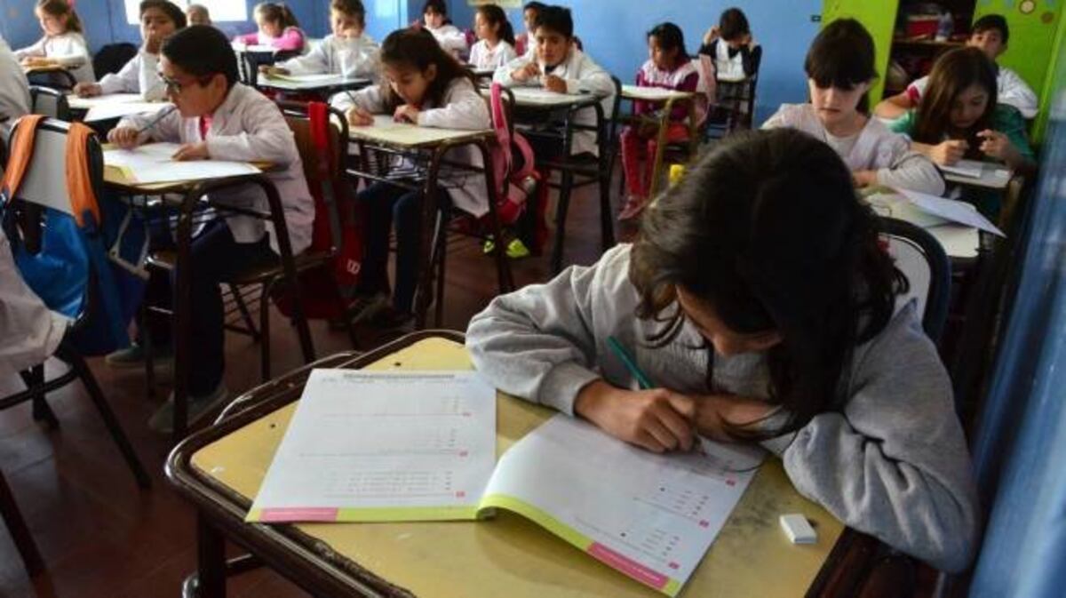 Las evaluaciones se tomarán este jueves\u002E (Marcelo Ochoa)