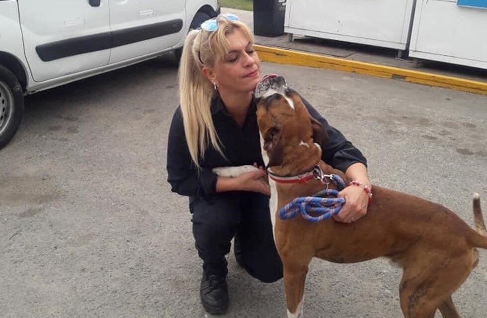 La mujer policía de Quilmes que recoge perros de la calle y les busca familia