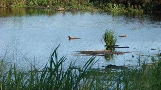 Basura en espacio verde