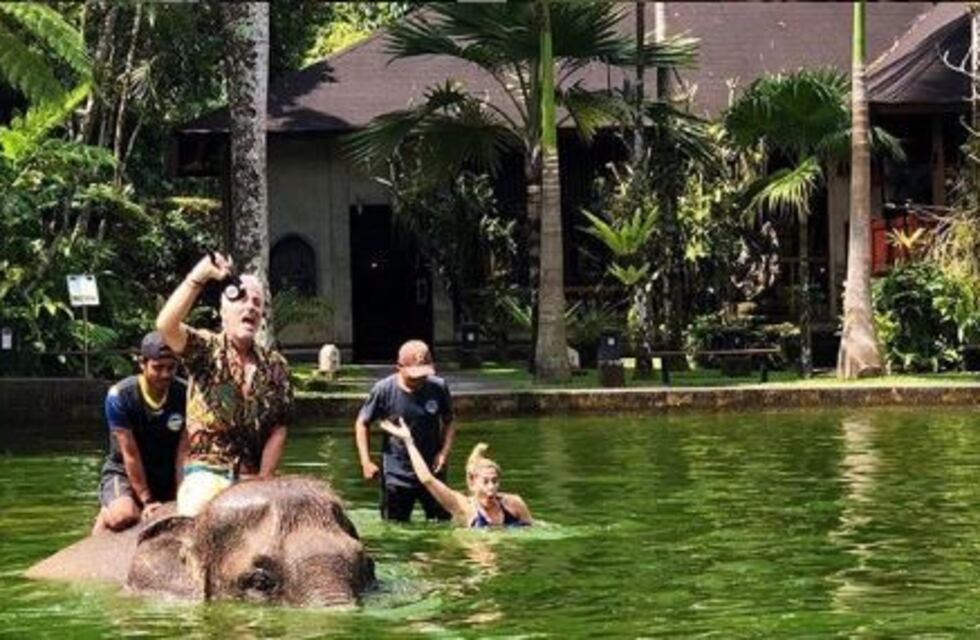 Jimena Barón y Marley nadaron con elefantes y los acusaron de maltrato animal