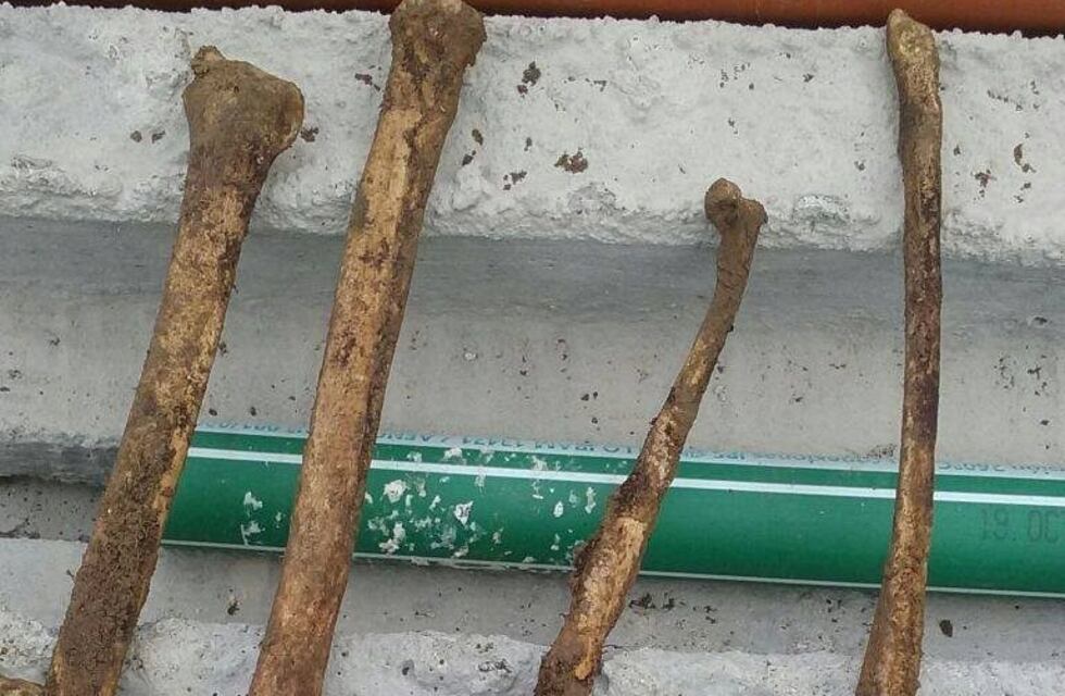 Descartan vínculo entre los huesos hallados y el caso Ortiz