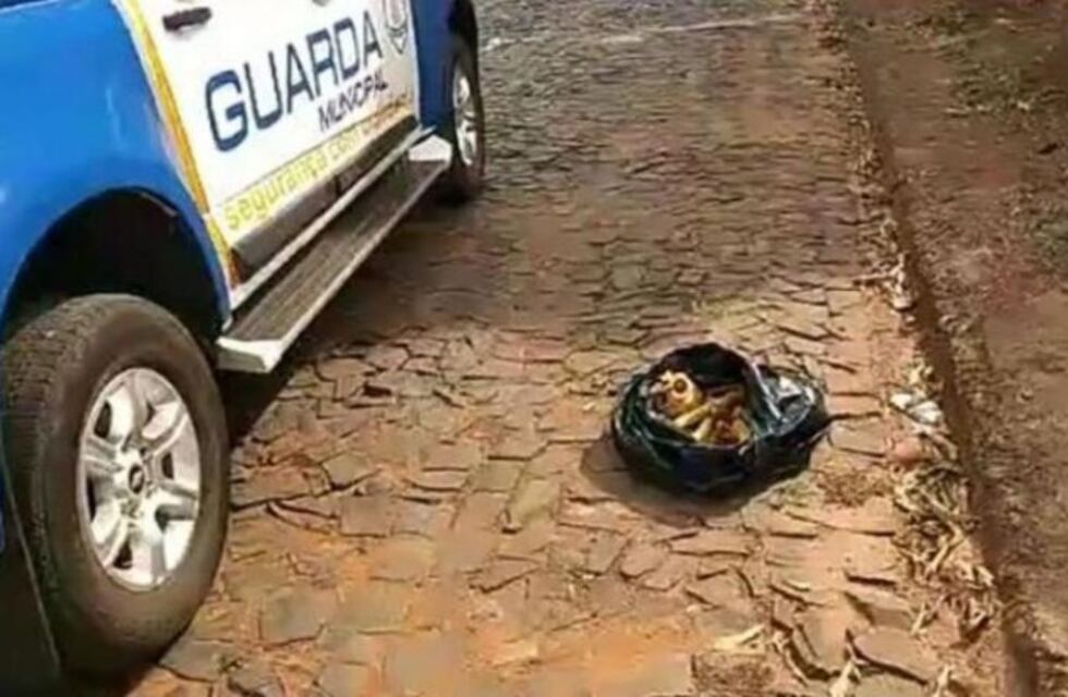 Foz de Iguazú: hallaron una bolsa con huesos en la vía pública