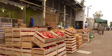 Mercado frutihorticola