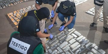 Las drogas secuestradas en el operativo (FPA)\u002E