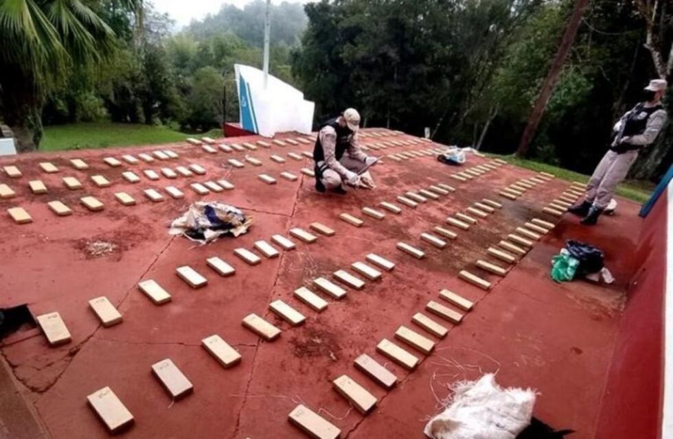 El perro "Teddy" permitió secuestrar 9 kilos de marihuana envuelta en carne de pollo