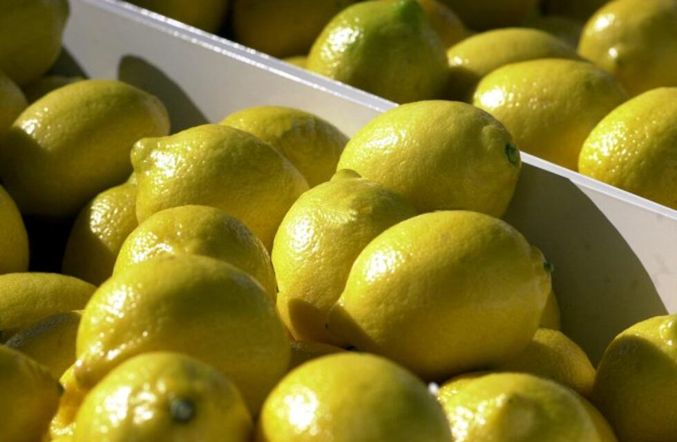Estados Unidos prolongó otros 30 días la suspensión de importación de limones argentinos