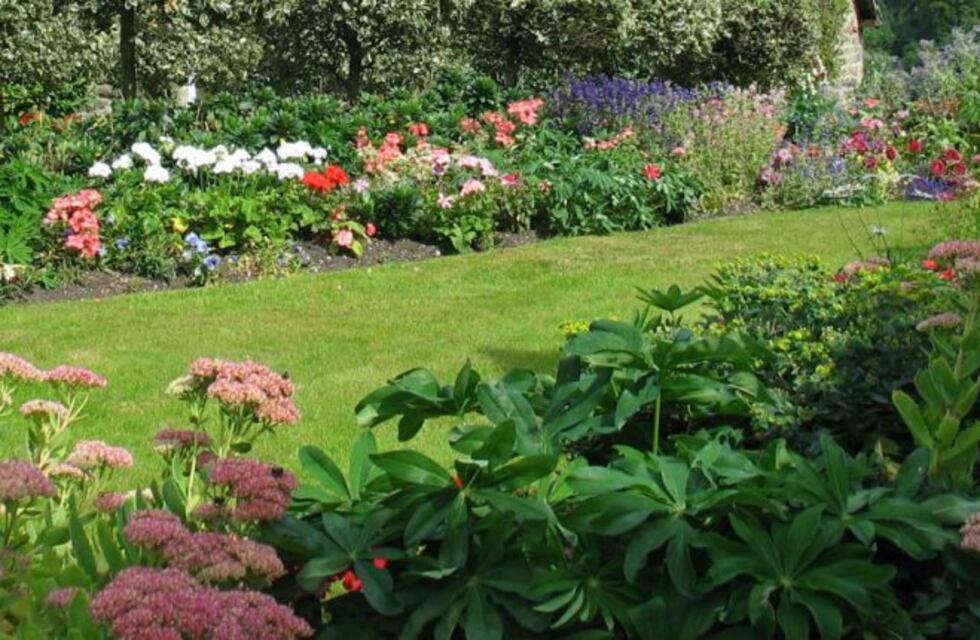 Cordobeses fanáticos de las plantas celebran su día