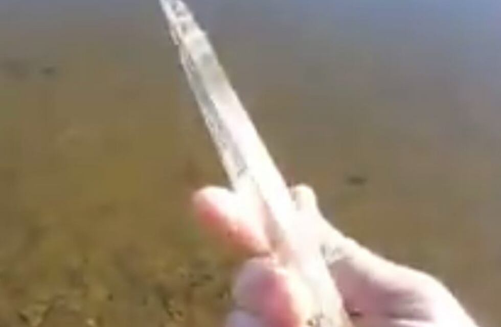 ¡Para patinar sobre el hielo! La ola polar congeló un estanque en el interior santafesino