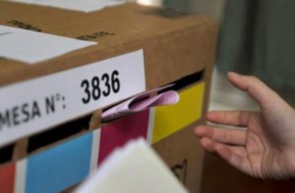 Desde Chaco, apoyan la suspensión de las PASO por un año