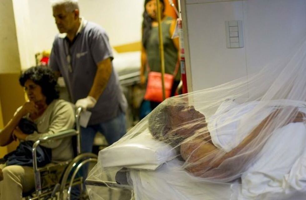 Confirman 23 casos de dengue en Orán