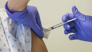 RECOMENDACIONES. La vacunación contra la fiebre amarilla está recomendada para varios destinos brasileños. (AP)