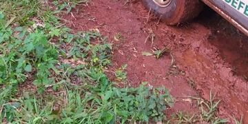 Detectaron un rozado ilegal en Campo Grande.