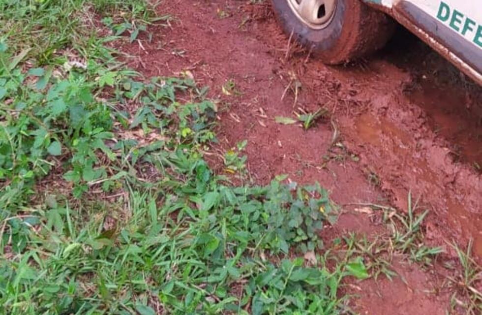 Detectaron un rozado ilegal en Campo Grande