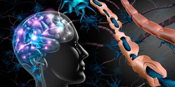 Según estudios científicos norteamericanos, la enfermedad de la mononucleosis aumenta las posibilidades de padecer esclerosis múltiple. Foto: Los Andes.