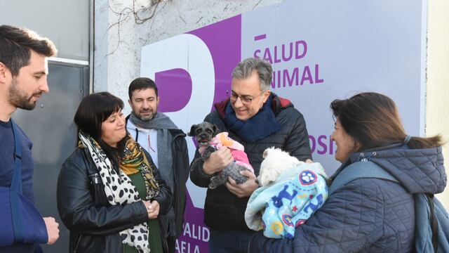 Más de 600 atenciones en el Centro de Atención Primaria para perros y gatos