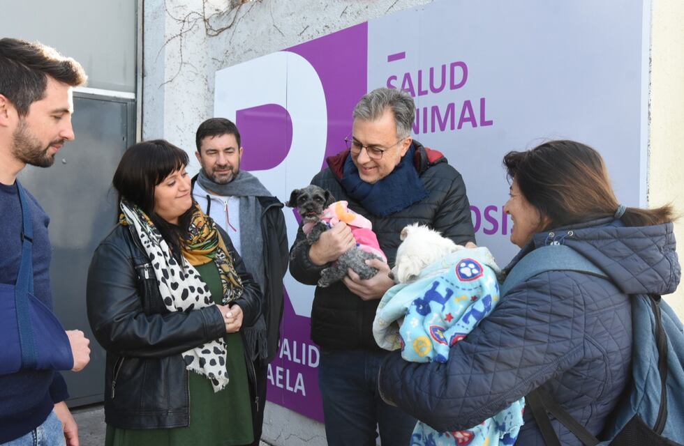 Ya se realizaron más de 600 atenciones en el Centro de Atención Primaria para perros y gatos