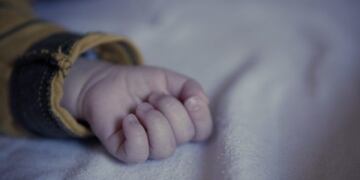 Imagen ilustrativa\u002E