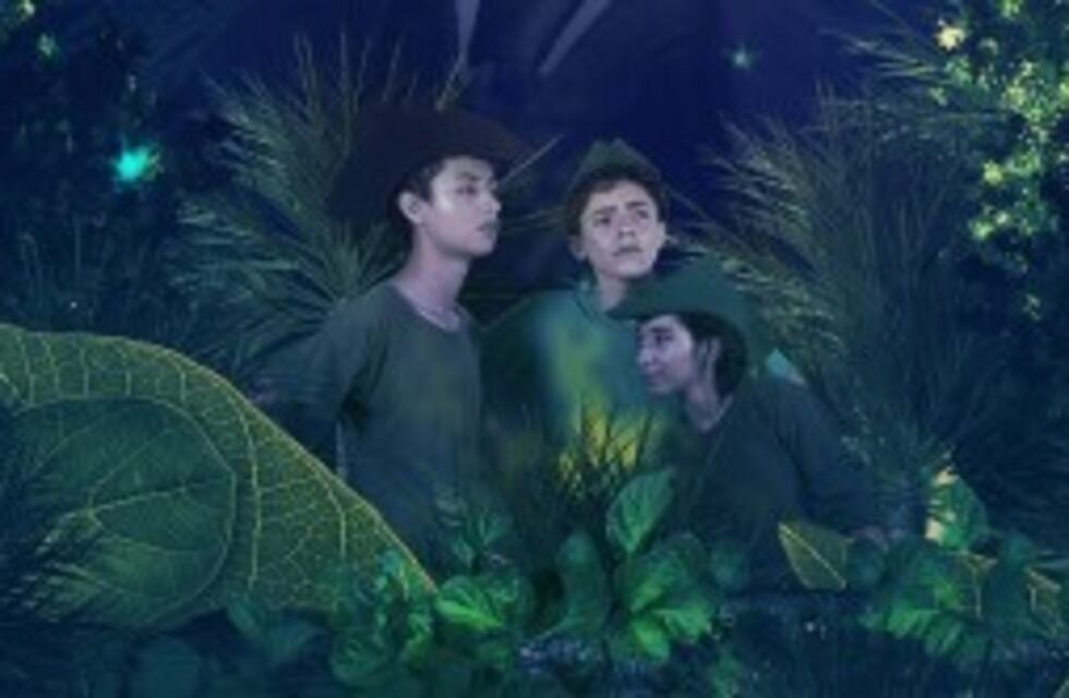 'Las sombras de Peter' sube al escenario de la Sala Orestes Caviglia