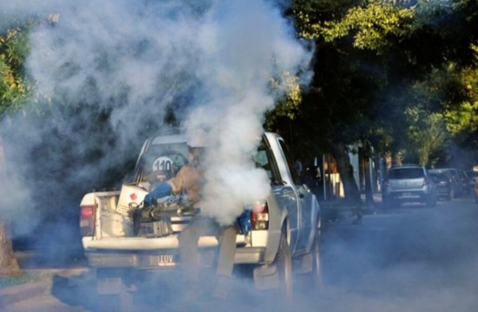 Eldorado tiene 331 casos sospechosos de dengue y 10 positivos