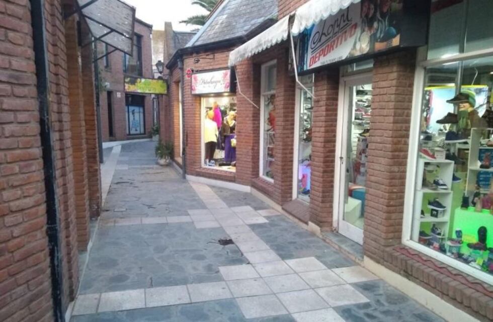 Robaron y causaron daños en un local del Paseo Español
