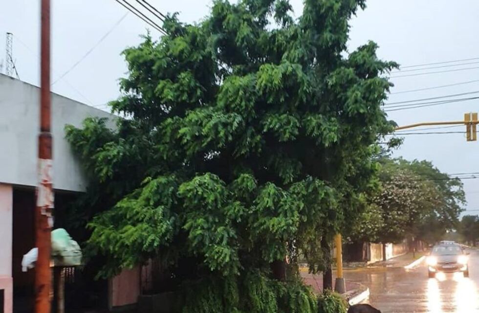 Fuertes vientos y gran caída de agua azotaron Arroyito