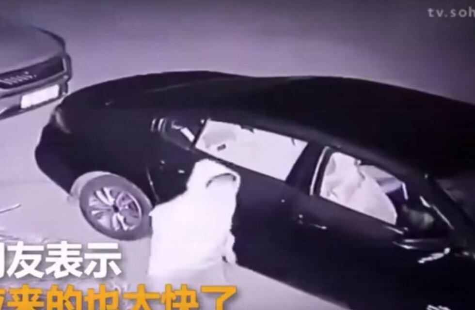 El karma de un ladrón: quiso romper una ventanilla y así terminó