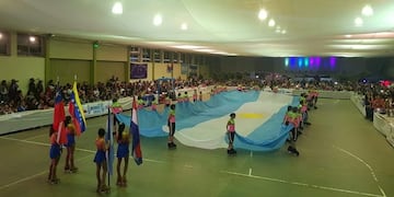 Una numerosa cantidad de patinadores de todo el país participaron este fin de semana de un gran evento en Santa Rosa\u002E