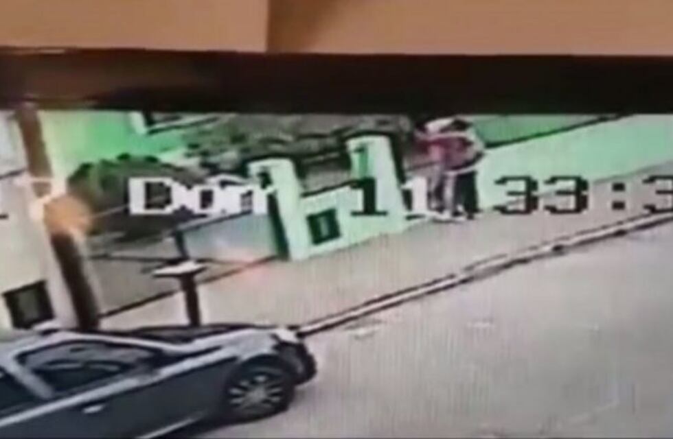 Así se roban un cachorro del frente de una casa