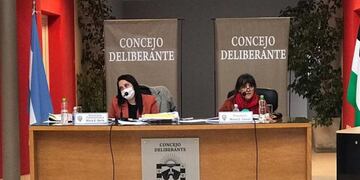 Los concejales de Patagones y Viedma sesionaron de manera presencial