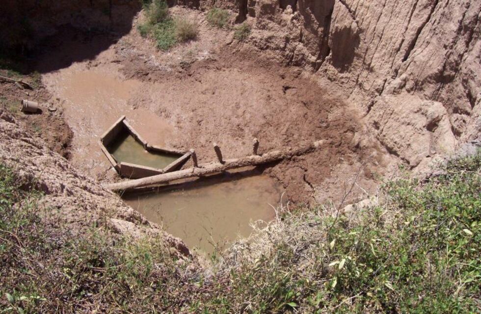 Declararon la emergencia agropecuaria en 27 distritos bonaerenses por la sequía