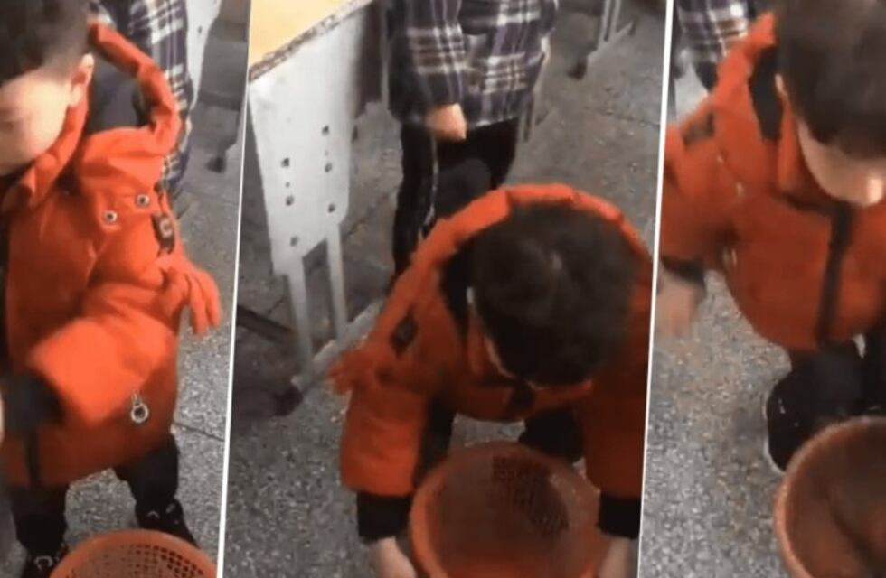 El video del nene que muestra cómo se pone correctamente la bolsa de basura