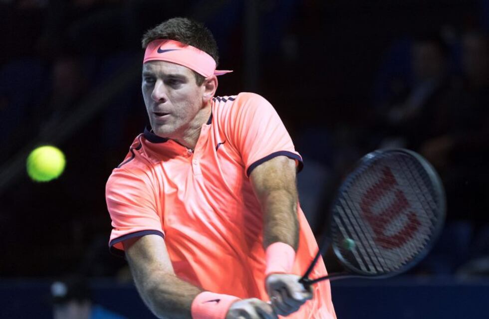 Del Potro venció en dos sets a Haase y avanzó a la segunda ronda del ATP 500 de Basilea
