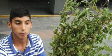 Rodrigo, el vendedor de peperina de la peatonal\u002E