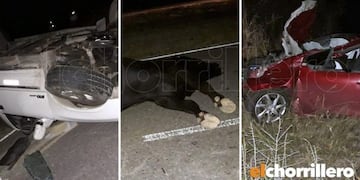 Un toro se cruzó en la autopista Nº 55 y ocasionó un doble accidente