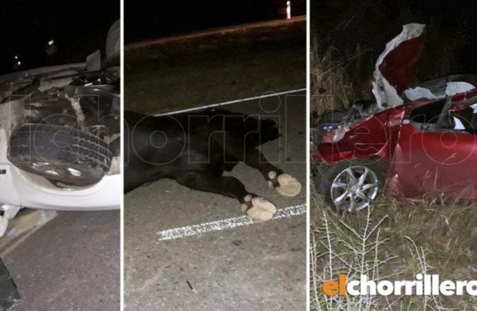 Un toro causó un doble accidente en la autopista en San Luis