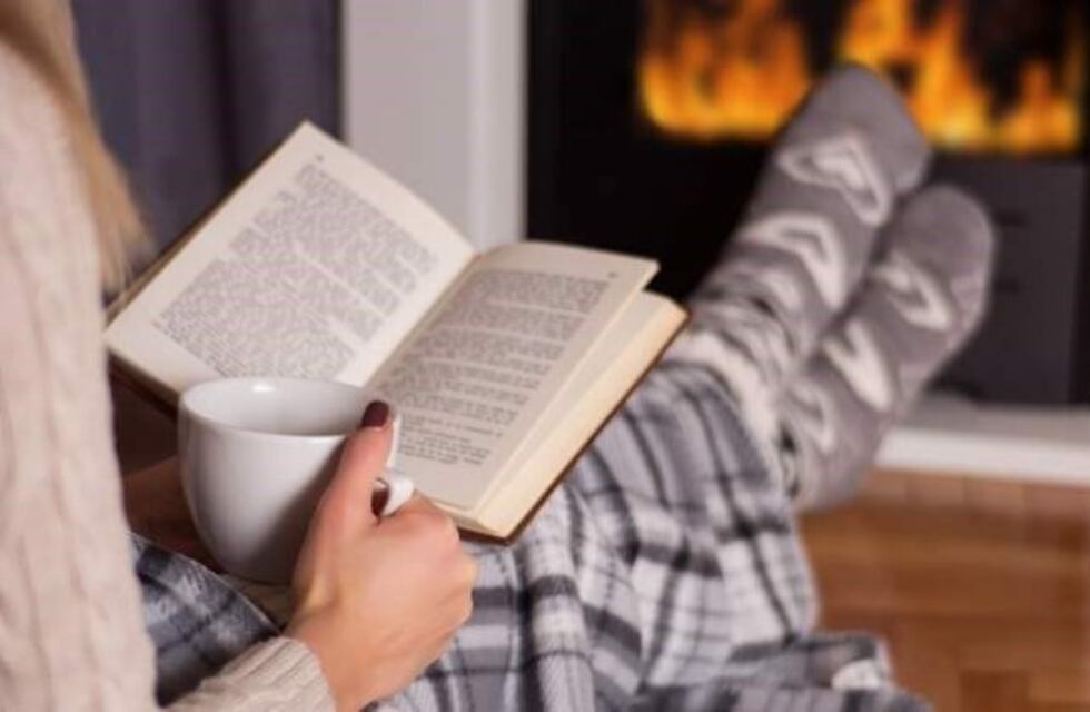 Cómo armar un rincón de lectura en casa