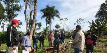 Agricultura Familiar brinda asistencia técnica a productores de Montecarlo