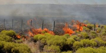 Incendio Arroyo Pescado