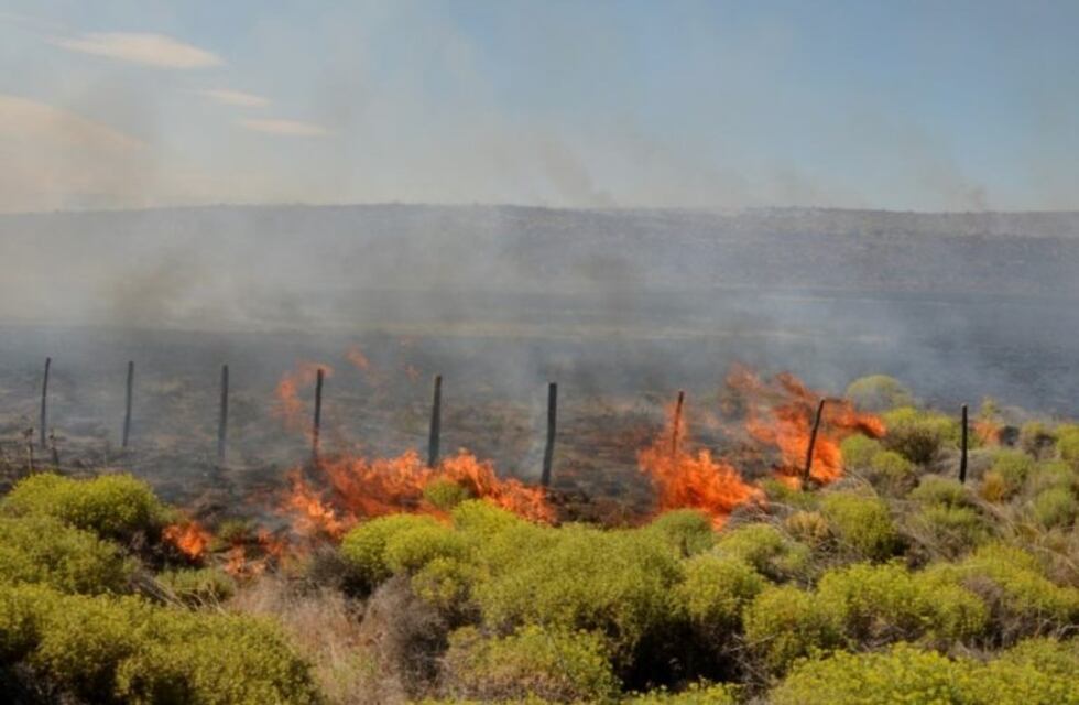 Feroz incendio en Arroyo Pescado