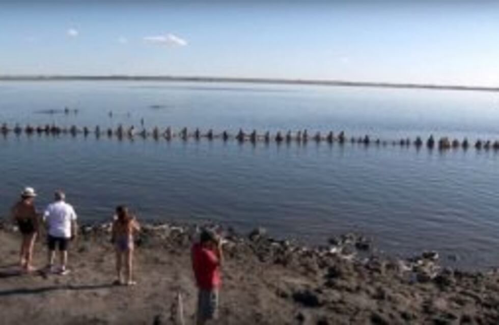 Más de 700 personas flotaron en el lago Epecuén y establecieron un récord Guinness