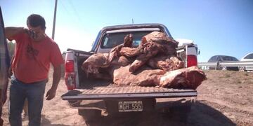 Saqueo de carne del camión accidentado en la ruta 143