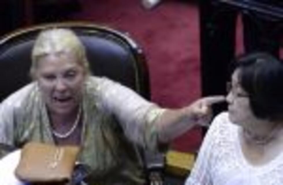 Carrió denunció a tres funcionarios del Ministerio de Energía