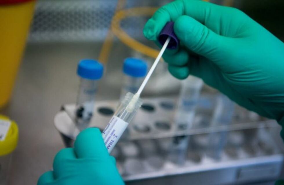 Paraná: paciente con coronavirus fue tratada con droga experimental