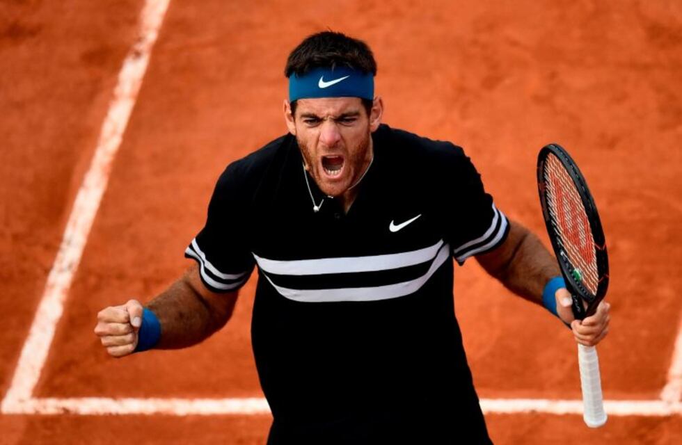 Roland Garros: Del Potro le ganó a Isner y avanzó a cuartos de final