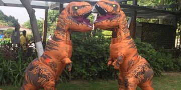 El divertido video de dos nietos al esperar a su abuela disfrazados de dinosaurios