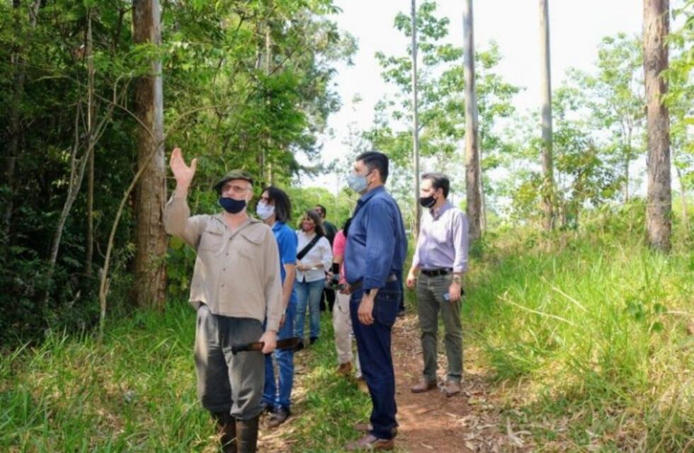 Buscarán dar valor a la nueva Reserva Mainumby en Montecarlo