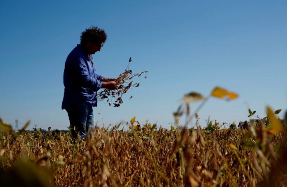 Crean un fondo de $ 53 millones para el fortalecimiento agroproductivo en Córdoba