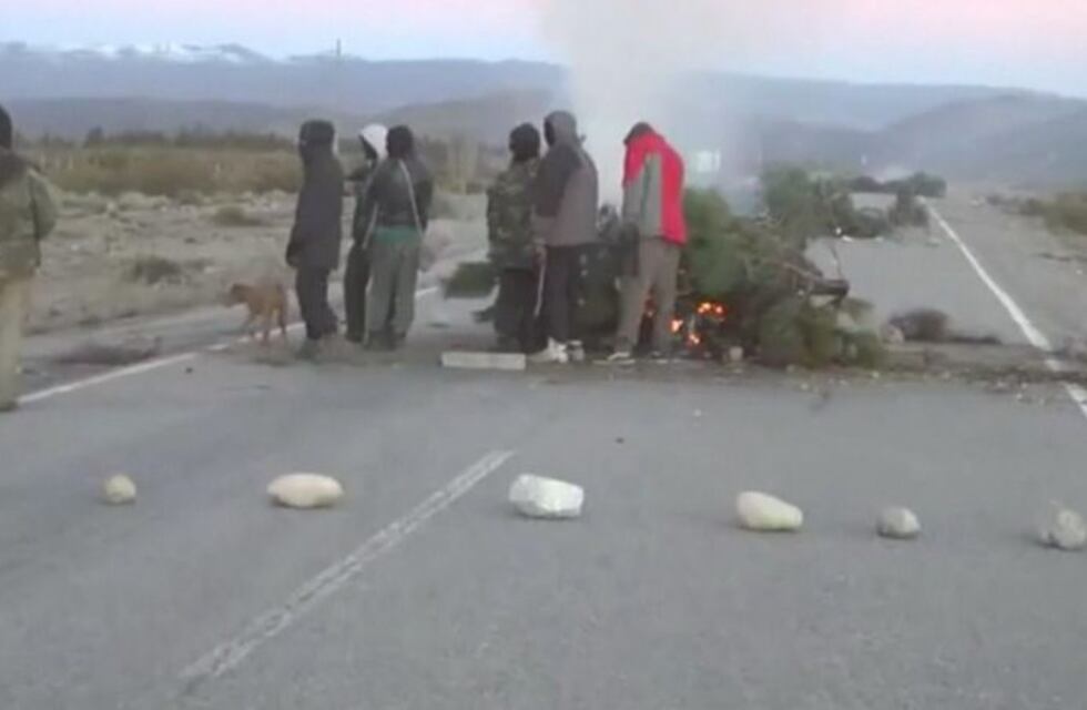 Así fue el operativo de Gendarmería en el predio ocupado por mapuches